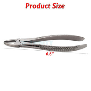 Pince à extraire les dents à prix de gros, pince à extraire les dents la plus vendue en ligne, fabriquée au Pakistan - Product Image 4