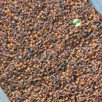 Clavos de olor enteros secos de color marrón rojizo, variedad AB6, 25 kg, origen Indonesia |   Proveedor de Clavo de Especias a Granel de Calidad de Exportación B2B Indonesia