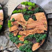 Jam Dinding Kayu dengan Desain Lumut Asli yang Diawetkan dan Jarum Penunjuk Waktu, Cocok untuk Acara Pernikahan