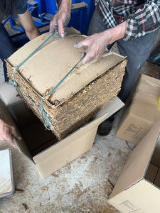 Cassia/canela/Gyepi prensada de calidad superior del precio bajo del proveedor caliente de Vietnam del fabricante de Vietnam - Product Image 6