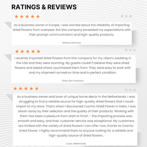 Décoration de Noël et de Bureau Écologique en Fleurs Séchées de Qualité Supérieure : Zinnia Sola Populaire pour l'Année 2026 (Vente en Gros) - Product Image 2