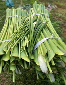 ก้านมันเทศแห้ง วัตถุดิบทำอาหาร ผักแห้งธรรมชาติจากเวียดนาม - Product Image 2