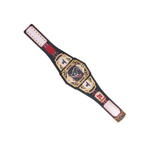 Cinturón de Campeonato de Lucha Libre Exclusivo, la Mejor Calidad, Logotipo Personalizado, Venta al Por Mayor, ODM, Novedad 2026 - Product Image 4