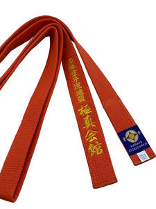Équipement d'arts martiaux, ceinture de taekwondo/karaté pour l'entraînement, ceinture d'arts martiaux pour l'entraînement au taekwondo - Product Image 4