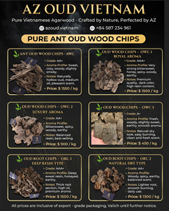 Offre Spéciale : Copeaux d'Encens Oud en Bois d'Agar de Manipuri (Inde), Brun Foncé, pour une Fragrance Naturelle - Product Image 2