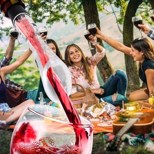 Aérateur de vin en bouteille avec bec verseur et décanteur, anti-goutte, accessoires de bar - Product Image 6