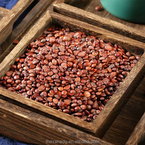Les sachets de thé/pochette de Spina Date Seed 500 g/sac chinois aide au sommeil herbe crue Ziziphus Jujuba <span class=keywords><strong>Var</strong></span> Spinosa haut OEM acceptent les saponines - Product Image 4