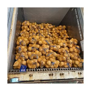 Top Quality <b>Semi</b> <b>Husked</b> <b>Coconut</b> Cheap Wholesale Price <b>Fresh</b> Light Color Bright Skin Premium Factory Bulk Supply New - Product Image 5