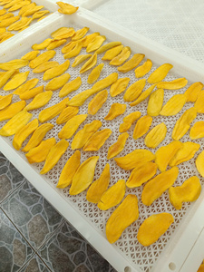 Palitos de Mango Seco Suave de 10-15 cm / Mango Seco Suave de Vietnam con Etiqueta Personalizada, Empaque a Granel de 5 kg para Fabricantes de Alimentos - Product Image 5