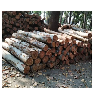 Bois de construction en bois tendre pour projets de construction, meubles, vente en gros, exportation - Product Image 4