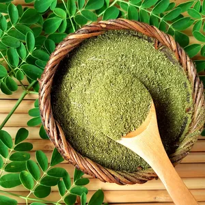 Polvo de Hoja de Moringa al por Mayor, 100% Natural, Hojas Secas de Moringa Oleifera, Polvo Verde Fino de Superalimento, Rico en Hierro, Calcio y Proteínas - Product Image 4