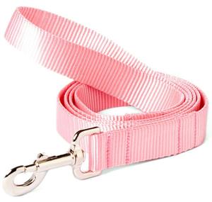 Laisse pour chien en nylon brodée : laisse personnalisée avec nom, sangle résistante - Product Image 3