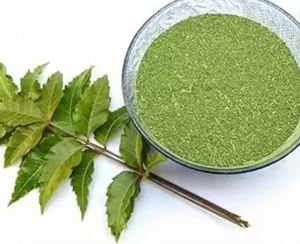 Poudre de Neem pour Fournisseur en Gros d'Ingrédients Naturels, Poudre de Neem pour la Fabrication de Produits à Base de Plantes, Approvisionnement en Gros au Meilleur Prix - Product Image 2