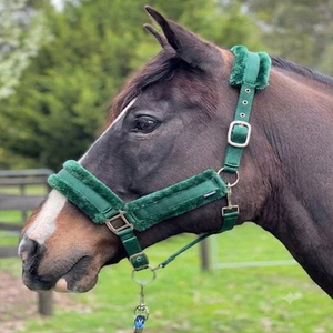 Cómodo Cabestro de Nailon Acolchado de Forro Polar Completo para Caballo, con Acolchado de Visón, Accesorio Ecuestre Multicolor, Cabestro de Carreras - Product Image 4