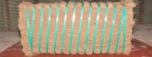 Fibra de Coco Natural para Mezcla de Suelo, Hidroponía y Relleno de Cojines - Product Image 5