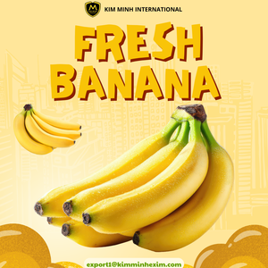 Bananes fraîches de haute qualité en provenance du Vietnam – Fournisseur fiable en gros pour les entreprises B2B - Product Image 2