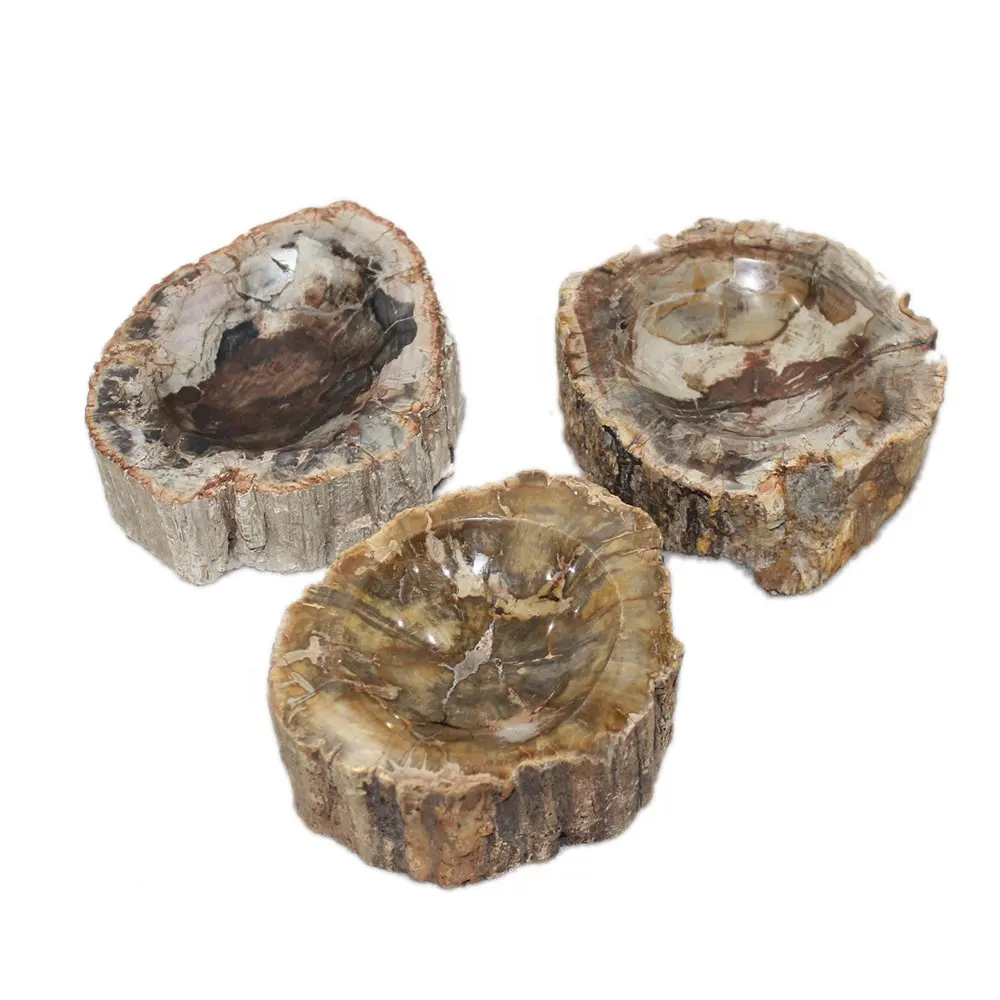 Cinzeiro Polido Fossilizado Personalidade Artesanato Love Gemstone Feng Shui JSY Jóias Madeira Petrificada para Decoração Home Natural