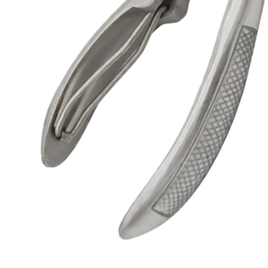 Ingrown Toenail Clippers 4.5 Inch (11.4cm) Stainless Steel Curved Thick Nail <b>Trimmer</b> Heavy Duty Pedicure Podiatry Tool for Baby - Product Image 5