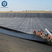 Fabricant professionnel de revêtements en HDPE, fournisseurs de géomembranes en HDPE, revêtement de bassin en HDPE pour les plateformes de lixiviation en hauteur