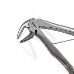 Forceps d'extraction dentaire pédiatrique Accuram 10 cm en acier inoxydable, instrument chirurgical dentaire pour l'extraction des dents chez l'enfant, certifié CE - Product Image 6