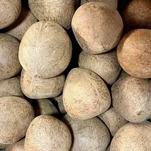 Noix de coco mûres séchées au soleil et au four, qualité naturelle AA, sac tissé de 25/30/50 kg, origine Kerala, prêtes à l'emploi, durée de conservation de 24 mois - Product Image 3