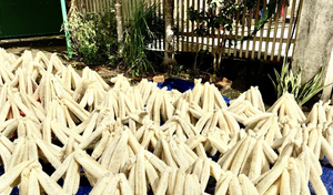 Meilleur prix pour les éponges de loofah naturelles du Vietnam - Vente en gros B2B - Product Image 6