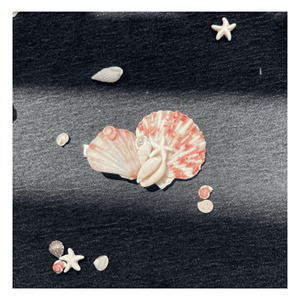 Pinces à cheveux en coquillage, en résine acétate, élégantes, accessoires pour cheveux pour marques de mode de boutique en provenance du Vietnam - Product Image 6