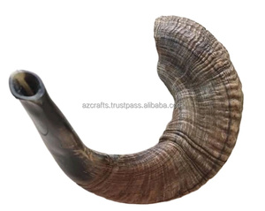 Instrumento musical tradicional Shofar de cuerno de Carnero Negro natural pulido con estilo náutico y animal - Product Image 4