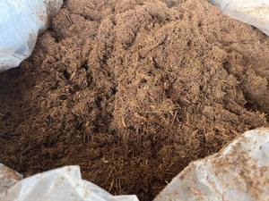 PELLETS DE BAGAZO VIETNAMITA LIDERAN LA REVOLUCIÓN DEL BIOCOMBUSTIBLE ECOLÓGICO SOSTENIBLE - Product Image 6