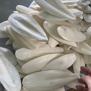 Hueso de Sepia Seco Natural de Primera Calidad, Certificado ISO, Alimento para Aves de Vietnam / Sra. Lima - Product Image 1