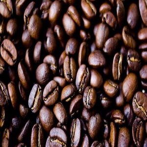 Compre Granos de Café Robusta Orgánico Premium Tostado, Entrega Rápida, Precios de Mayoreo Inmejorables, Perfecto para Cafeterías y Minoristas - Product Image 5