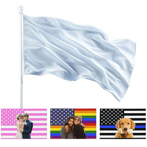 Drapeau de l'État du Texas 3x5 pieds, utilisation extérieure, matériau en nylon avec œillets en laiton pour adultes - Product Image 4