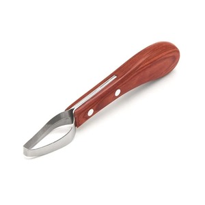 Cuchillo para Pezuñas Moderno y Sencillo de Acero Inoxidable, Herramienta para Pezuñas de Caballo, Cuchillo para Pezuñas con Anillo, Suministros para Establos, Productos para el Cuidado de Caballos - Product Image 1