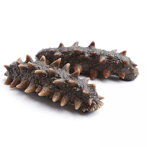 Pepino de mar seco a precio competitivo - Product Image 3