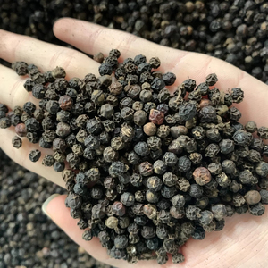 พริกไทยดำคุณภาพเยี่ยม ได้รับการรับรองมาตรฐาน ISO แท้ 100% ขนาด 550 กรัม ผงพริกไทยดำดิบ อบแห้ง สำหรับปรุงอาหาร - Product Image 1