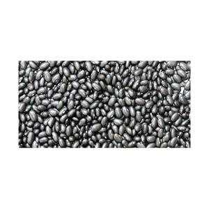 Frijoles Negros de Primera Calidad Listos para Distribución Comercial Directa de Fábrica - Product Image 4