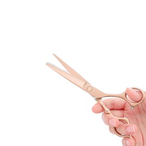 Ciseaux de barbier pliables en acier inoxydable de qualité supérieure, qualité A+, prix imbattable, instruments de beauté - Product Image 4
