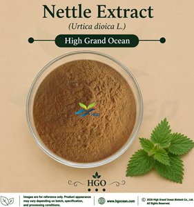 Extrait d'Ortie (Urtica dioica L.) de qualité alimentaire, fourni directement par l'usine HGO (Ratio d'extraction) 4:1 5:1 10:1 20:1 100:1 200:1 - Product Image 1