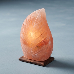 Handmade Himalayan Salt <b>Leaf</b> Shaped Lamp Unique Natural Mineral Accent <b>Light</b> for Living Room Styling Office Decor - Product Image 6