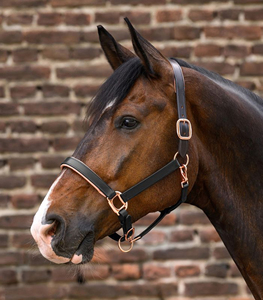 High Quality Premium Italian Leather Horse Head Collar Anatomic X-Line Halter Comfort Durability Rose Gold <b>Hardware</b> Riding - Product Image 4