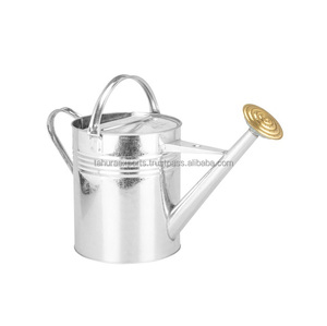 Arrosoir vintage en fer antique pour intérieur et extérieur, nouvelle arrivée, décoration de la maison, décoration de jardin - Product Image 6