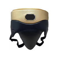 Protège-glandes pour MMA et Boxe, protection sportive avec nouveau design, en vente à bas prix
