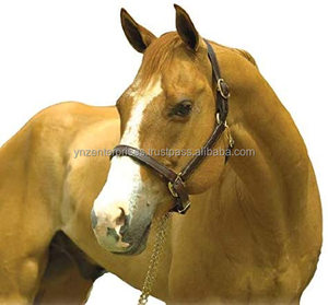 Y & Z haute qualité en cuir véritable cheval bride qualité supérieure corde licou prix de vente entier disponible pour les sports équestres - Product Image 1