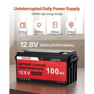 Kit de Energía Solar y Eólica de 1000W: 2 Paneles Solares de 100W, Turbina Eólica de 400W, Batería LiFePO4 de 12.8V 100Ah, Inversor de 12V 600W - Product Image 6