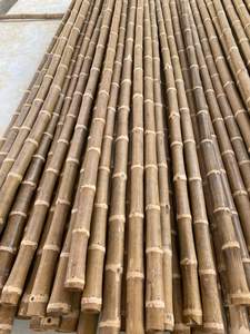 Pôles en bambou écologiques de haute qualité, très demandés, qualité supérieure, pôles de support pour plantes durables, vente en gros au Vietnam - Product Image 2