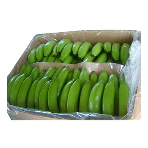 Bananes vertes Cavendish fraîches de la ferme, prêtes à l'exportation, pour usage commercial et distribution internationale - Product Image 5