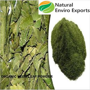 Feuille de neem séchée biologique cueillie à la main utilisée à des fins multiples et poudre de feuille de neem utilisée pour les soins de la peau - Product Image 4