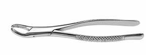 Forceps d'extraction dentaire pour molaires inférieures, chromés, en acier inoxydable, avec poignées texturées et becs dentelés - Product Image 4