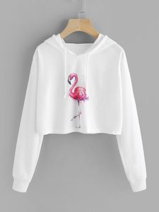 เสื้อฮู้ดดี้ขนเท็ดดี้สำหรับผู้หญิง ผ้าฟลีซนุ่มสบาย ซับในเชอร์ปา คุณภาพส่งออก อุ่นสบายสำหรับฤดูหนาว ทรงโอเวอร์ไซส์ - Product Image 5