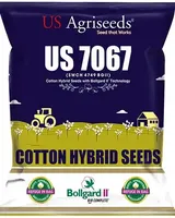 Graines de coton biologique naturel de qualité supérieure, haute germination, hybride F1, pour climat tropical, agriculture commerciale, 475g CRADLE LIFE